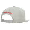 Mitchell & Ness Gry NBA Milwaukee Bucks 75th Anniversary Silver Snapback - OSFA