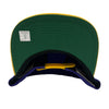 Men's Mitchell & Ness Purple NBA Utah Jazz Reload 2.0 HWC Snapback Hat - OSFA