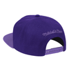 Mitchell & Ness Purple NBA Toronto Raptors Purple Haze HWC Snapback - OSFA