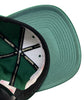 Men's Mitchell & Ness Green NBA Boston Celtics ZZ HWC Snapback - OSFA