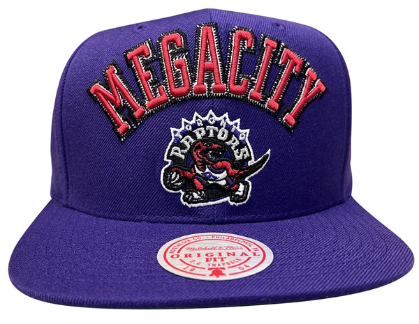 Men's Mitchell & Ness Purple NBA Toronto Raptors ZZ HWC Snapback - OSFA