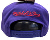 Men's Mitchell & Ness Purple NBA Toronto Raptors ZZ HWC Snapback - OSFA