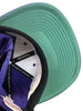 Men's Mitchell & Ness Purple NBA Toronto Raptors ZZ HWC Snapback - OSFA