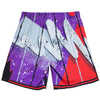 Mitchell & Ness NBA Toronto Raptors 1998-99 Hyper Hoops Swingman Shorts