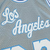 Mitchell & Ness Slv LA Lakers Elgin Baylor 1960-61 75th Swingman Jersey