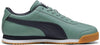 Men's Puma Roma 24 Standard Green Moon-New Navy (396868 12)