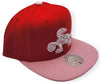 Mitchell & Ness Red/Red NBA Toronto Raptors Sweetheart 2 Tone Snapback HWC Raptors - OSFA