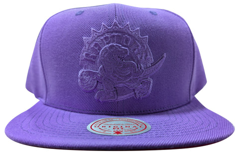 Mitchell & Ness NBA Purple Toronto Raptors Tonal Eclipse HWC Snapback - OSFA