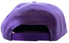 Mitchell & Ness NBA Purple Toronto Raptors Tonal Eclipse HWC Snapback - OSFA