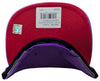 Mitchell & Ness NBA Purple Toronto Raptors Tonal Eclipse HWC Snapback - OSFA