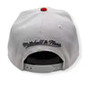 Mitchell & Ness White/Red NBA Toronto Raptors Core Basic Snapback - OSFA