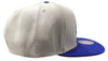 Mitchell & Ness Off White/Purple NBA Phoenix Suns Natural XL HWC Snapback - OSFA