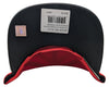 Mitchell & Ness Red/Black NBA Toronto Raptors Team Reflective Snapback - OSFA