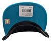 Mitchell & Ness Black/Teal NBA HWC Charlotte Hornets Team Reflective Snapback - OSFA