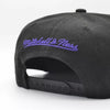 Mitchell & Ness Black/Purple NBA HWC Toronto Raptors Team Reflective Snapback - OSFA