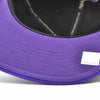 Mitchell & Ness Black/Purple NBA HWC Toronto Raptors Team Reflective Snapback - OSFA