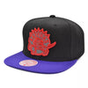 Mitchell & Ness Black/Purple NBA HWC Toronto Raptors Team Reflective Snapback - OSFA