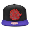 Mitchell & Ness Black/Purple NBA HWC Toronto Raptors Team Reflective Snapback - OSFA