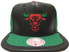 Mitchell & Ness Green/Red NBA Chicago Bulls Day One Snapback - OSFA