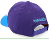 Mitchell & Ness Purple/Teal NBA Charlotte Hornets Wool 2 Tone Stretch Snapback - OSFA