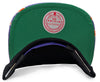 Mitchell & Ness NBA Phoenix Suns Black/Purple Snapshot Snapback HWC - OSFA