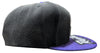 Mitchell & Ness NBA Toronto Raptors Black/Royal Snapshot HWC Snapback - One Size