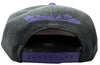 Mitchell & Ness NBA Toronto Raptors Black/Royal Snapshot HWC Snapback - One Size