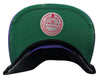 Mitchell & Ness NBA Toronto Raptors Black/Royal Snapshot HWC Snapback - One Size