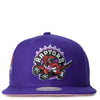 Mitchell & Ness Purple NBA Toronto Raptors All Love HWC Snapback - OSFA