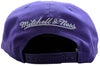 Mitchell & Ness Purple NBA Toronto Raptors Retro Bolt Deadstock HWC Snapback - OSFA