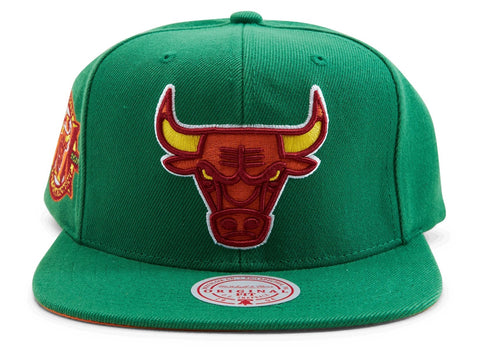 Men's Mitchell & Ness Green NBA Chicago Bulls Like Mike Snapback - OSFA