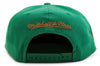 Men's Mitchell & Ness Green NBA Chicago Bulls Like Mike Snapback - OSFA