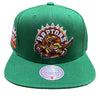 Mitchell & Ness Green NBA Toronto Raptors Like Mike HWC Snapback - OSFA