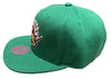 Mitchell & Ness Green NBA Toronto Raptors Like Mike HWC Snapback - OSFA