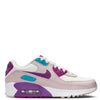 Big Kid's Nike Air Max 90 LTR Summit White/Viotech  (CD6864 126)