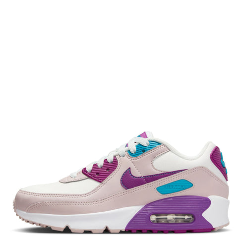 Big Kid's Nike Air Max 90 LTR Summit White/Viotech  (CD6864 126)