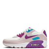 Big Kid's Nike Air Max 90 LTR Summit White/Viotech  (CD6864 126)