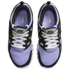 Big Kid's Nike Free Run 2 Purple Pulse/Silver-Off Noir (DD0163 500)