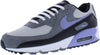 Men's Nike Air Max 90 Photon Dust/Light Thistle (DM0029 014)