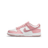 Big Kid's Nike Dunk Low 