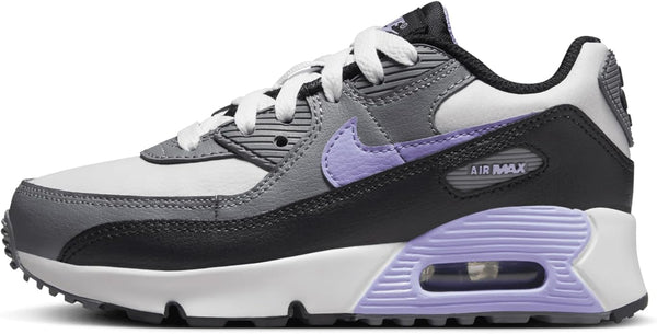 Little Kid's Nike Air Max 90 LTR Photon Dust/Light Thistle (DV3608 001)