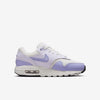 Big Kid's Nike Air Max 1 Platinum Tint/Hydrangeas (DZ3307 011)