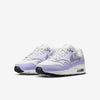 Big Kid's Nike Air Max 1 Platinum Tint/Hydrangeas (DZ3307 011)