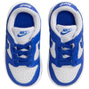 Toddler's Nike Dunk Low White/Concord-University Red (FB9107 106)