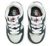 Toddler's Nike Dunk Low Deep Jungle/White-Light Silver (FB9107 300)