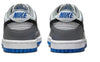 Big Kid's Nike Dunk Low Cool Grey/Black-Pure Platinum (FB9109 001)