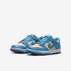 Big Kid's Nike Dunk Low Blue Beyond/Blue Beyond-Beach (FB9109 400)