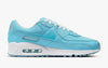 Men's Nike Air Max 90 Blue Chill/Blue Chill-White (FD0734 442)