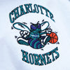 Men's Mitchell & Ness Blue/White NBA Charlotte Hornets Fusion Fleece 2.0 Pullover Hoodie