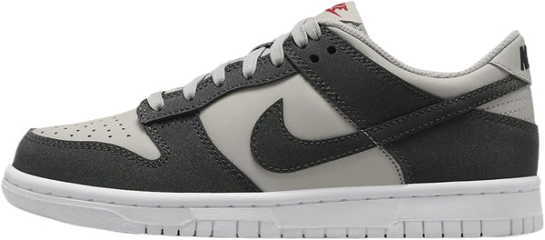 Big Kid's Nike Dunk Low HF LT Iron Ore/Anthracite-White (FZ1000 001)